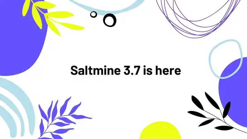 Saltmine 3.7 Banner